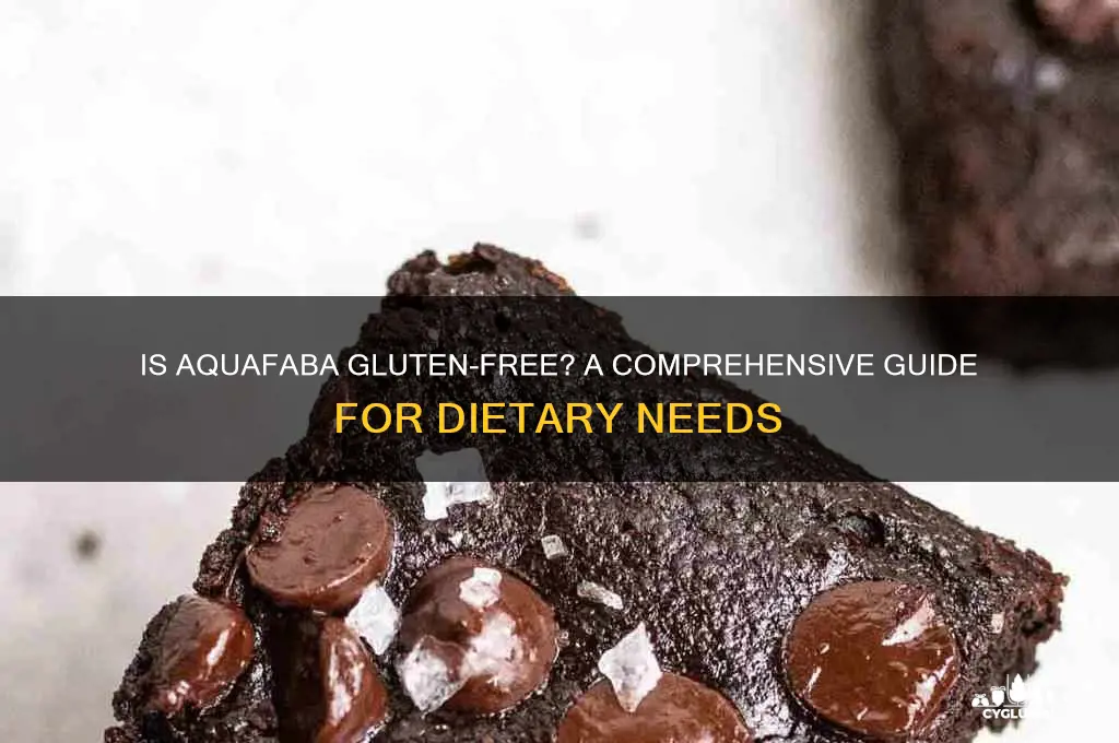 is aquafaba gluten free