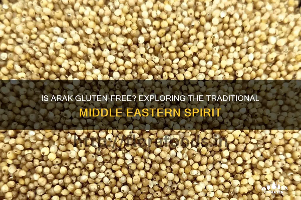 is arak gluten free