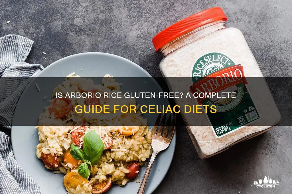 is arborio gluten free