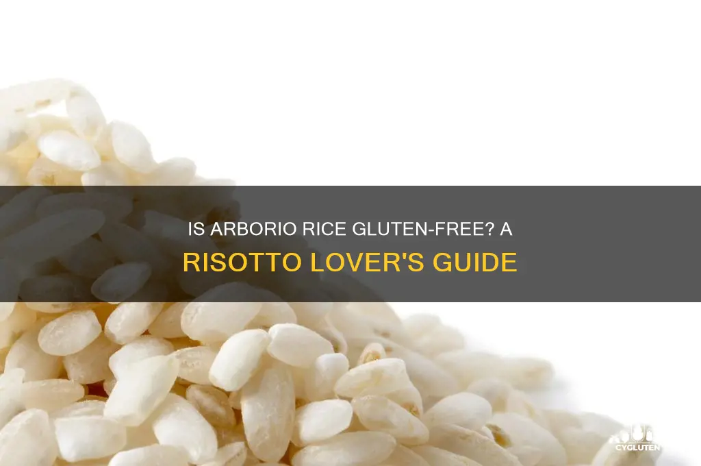 is arborio rice gluten free