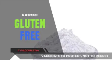 Is Arrowroot Gluten-Free? A Comprehensive Guide to This Starchy Flour