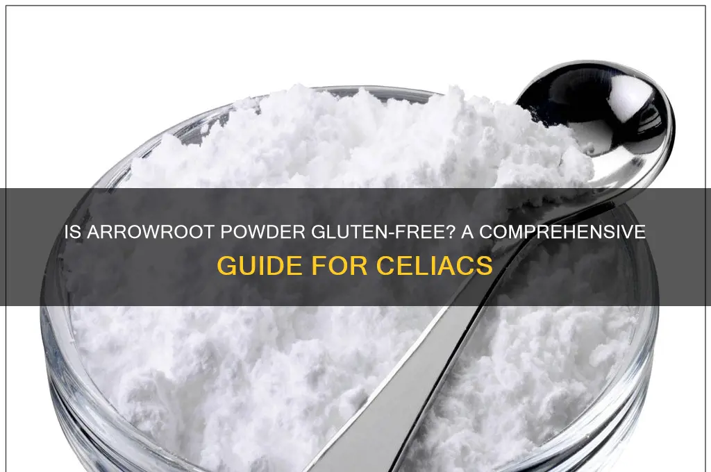 is arrowroot powder gluten free