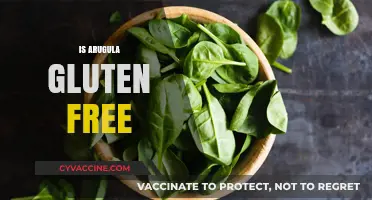 Is Arugula Gluten-Free? A Clear Answer for Your Diet