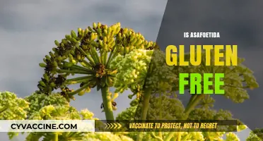 Is Asafoetida Gluten-Free? A Comprehensive Guide for Dietary Needs