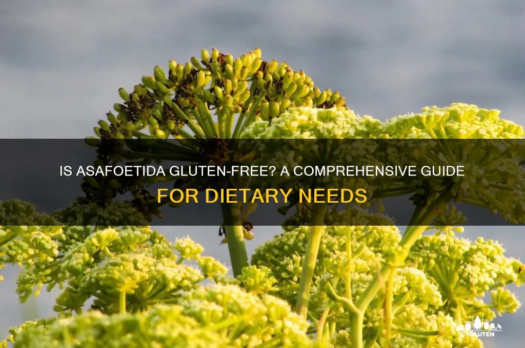 is asafoetida gluten free