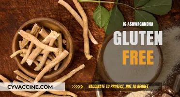 Is Ashwagandha Gluten-Free? A Comprehensive Guide to Its Safety