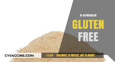 Is Astragalus Gluten-Free? Uncovering the Truth for Your Diet