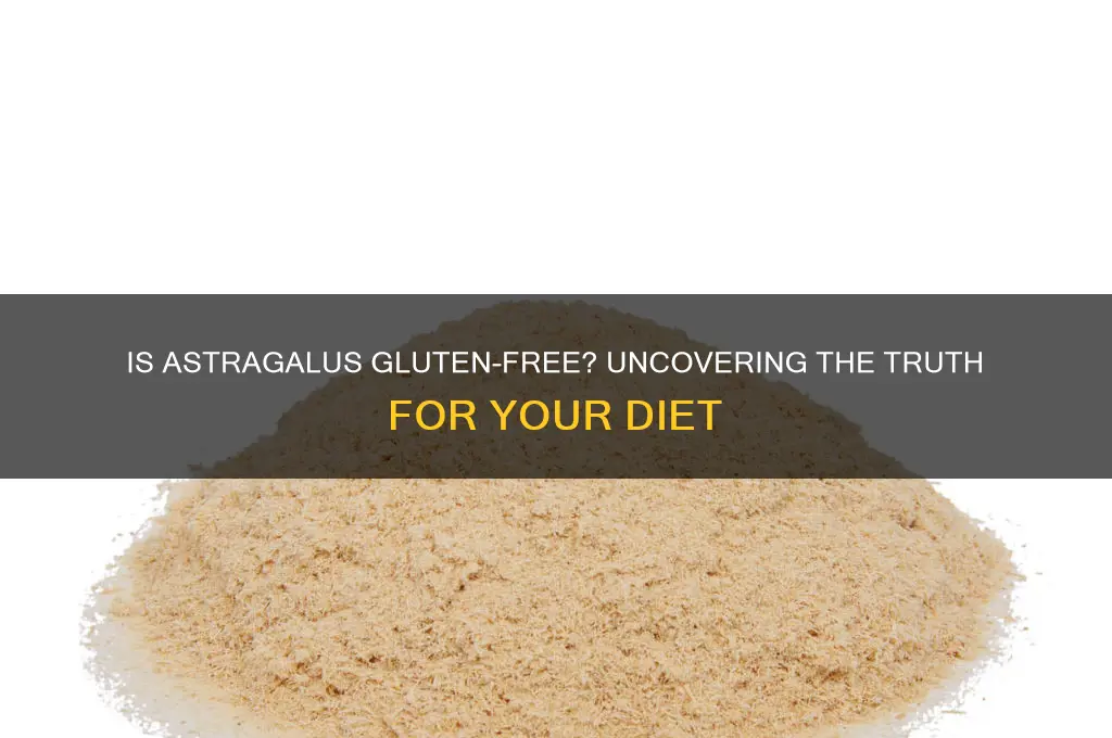 is astragalus gluten free