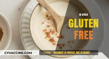 Is Atole Gluten Free? A Complete Guide to This Traditional Drink