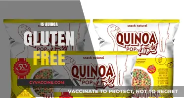Is Quinoa Gluten-Free? Unraveling the Truth for Celiac Diets