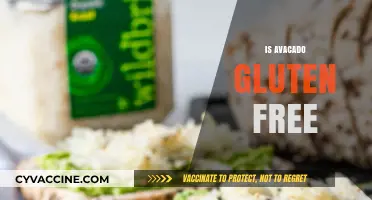 Avocado and Gluten: Debunking Myths for a Healthy Diet