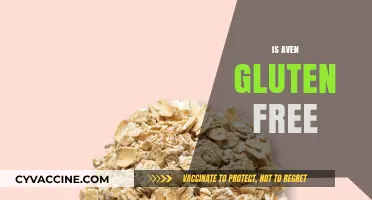 Is Aven Gluten-Free? Understanding Oats in a Gluten-Free Diet
