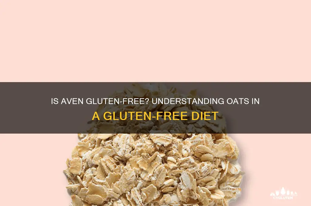 is aven gluten free