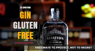 Is Aviation Gin Gluten-Free? A Complete Guide for Gin Lovers