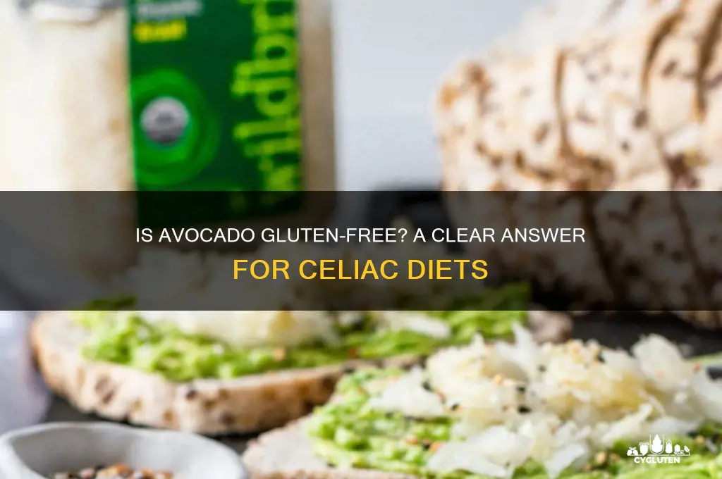 is avocado gluten-free