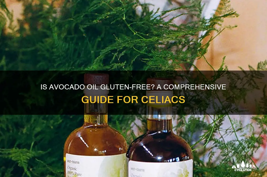 is avocado oil gluten free