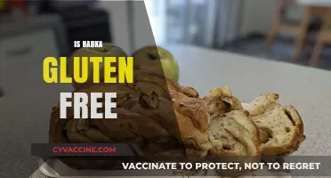 Is Babka Gluten-Free? Exploring Ingredients and Alternatives for Celiacs