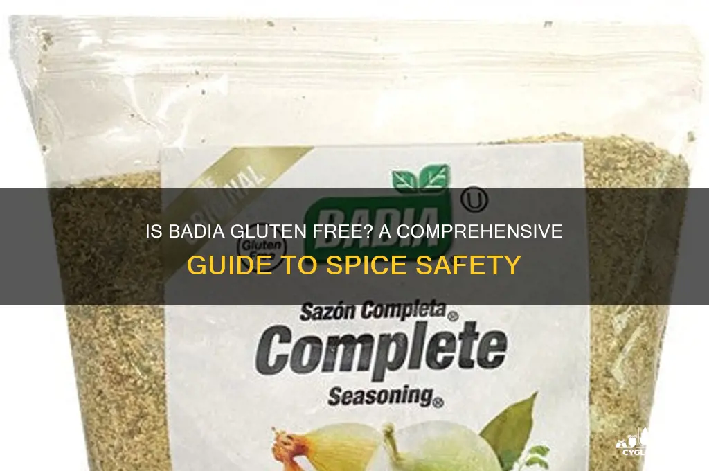 is badia gluten free