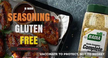 Exploring Gluten-Free Options: Is Badia Seasoning Safe for Celiacs?