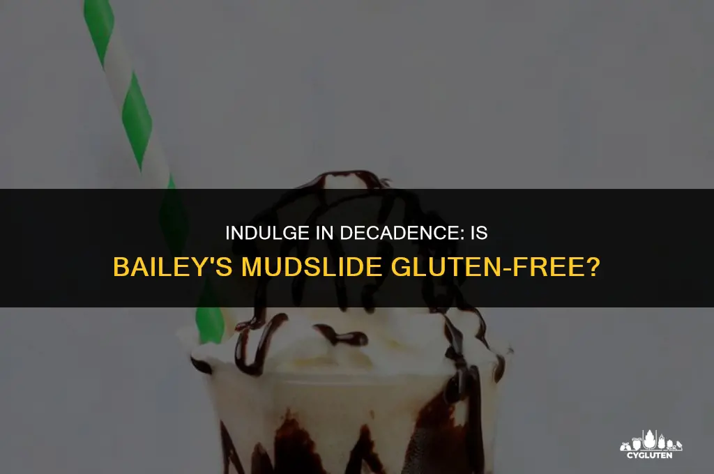 is baileys mudslide gluten free
