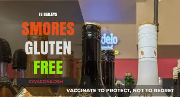 Indulge in Decadence: Are Baileys S'mores Gluten-Free?