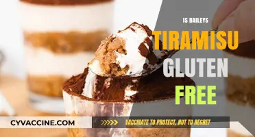 Indulge in Decadence: Gluten-Free Bailey's Tiramisu Delight