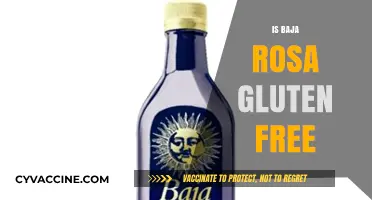 Exploring Gluten-Free Options: Is Baja Rosa Safe for Celiacs?