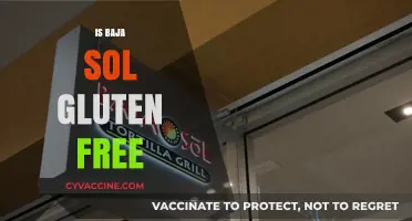 Exploring Gluten-Free Options: Is Baja Sol the Answer?