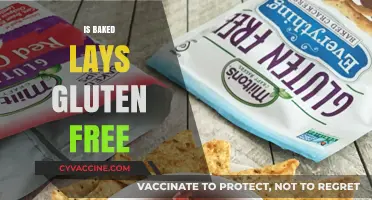 Crunching into Clarity: Are Baked Lays Really Gluten-Free?