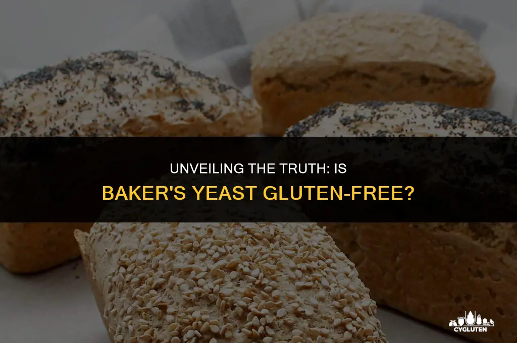 is bakers yeast gluten free