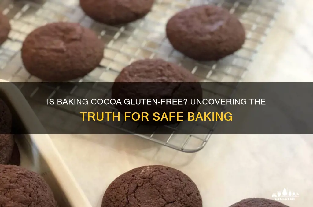 is baking cocoa gluten free