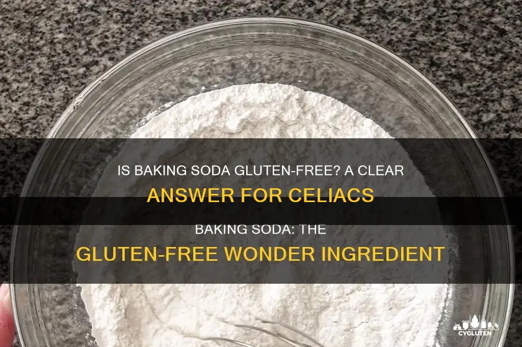 is baking soda gluten-free
