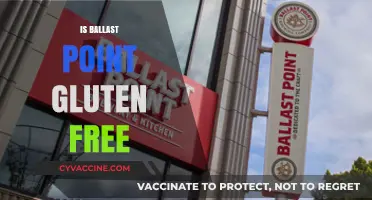 Exploring Gluten-Free Options: Is Ballast Point on the List?