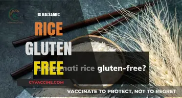 Exploring Gluten-Free Options: Is Balsamic Rice a Safe Choice?