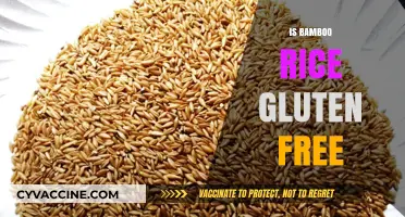 Exploring Bamboo Rice: A Gluten-Free Alternative for Your Diet