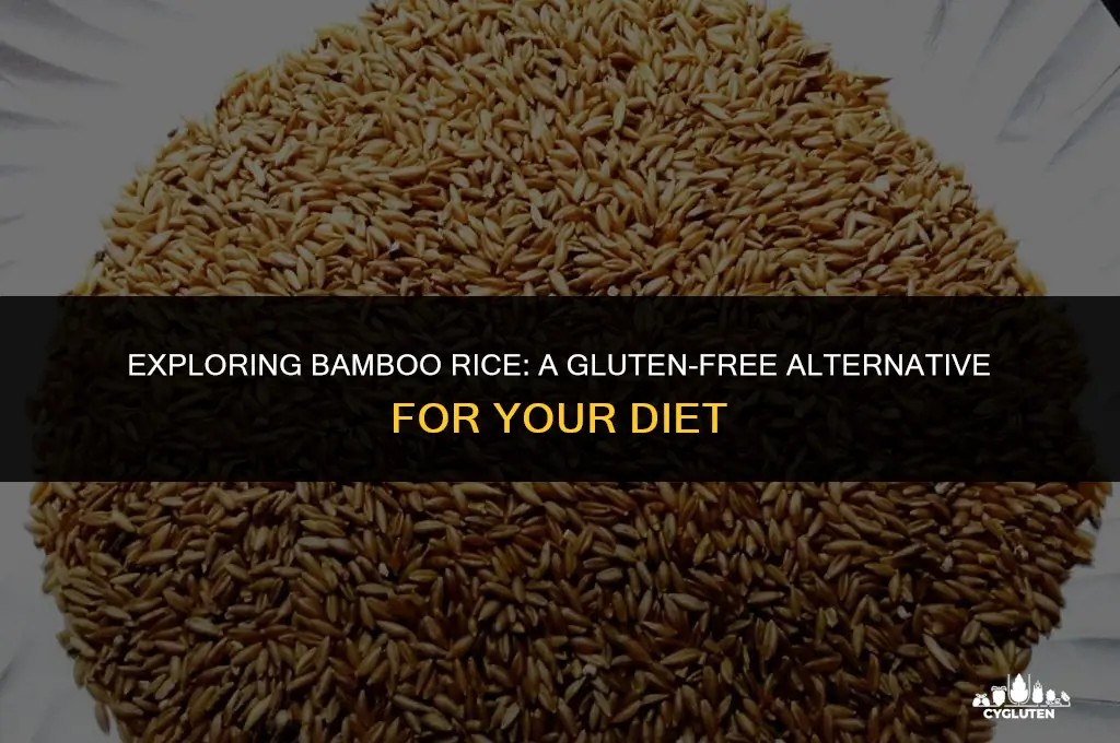 is bamboo rice gluten free