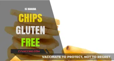 Crunchy and Safe: Are Banana Chips a Gluten-Free Snack?