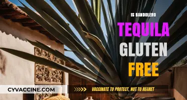 Sipping Safely: Is Bandolero Tequila Gluten-Free?