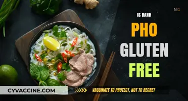 Exploring Vietnamese Cuisine: Is Banh Pho Gluten-Free?