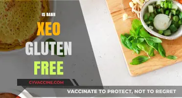 Exploring Vietnamese Cuisine: Is Banh Xeo Gluten-Free?