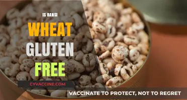 Exploring Bansi Wheat: A Gluten-Free Alternative for Your Diet
