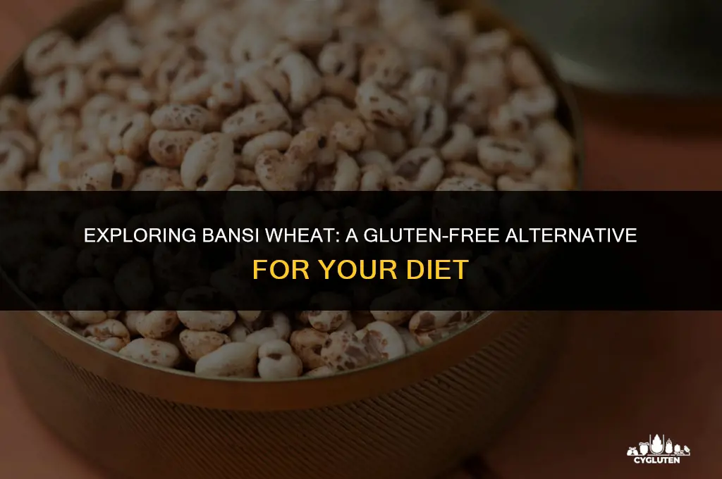 is bansi wheat gluten free