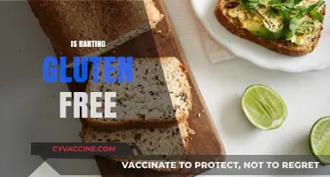 Is Banting Gluten-Free? Exploring the Diet's Wheat-Free Potential