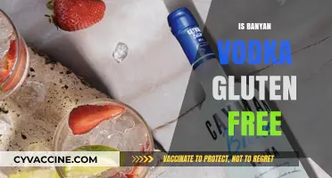 Sipping Safely: Is Banyan Vodka a Gluten-Free Choice?