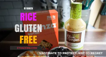Exploring Gluten-Free Options: The Truth About Banza Rice