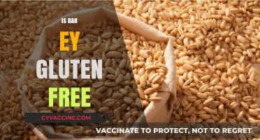 Exploring Gluten-Free Options: Is Bar Eye Safe for Celiacs?