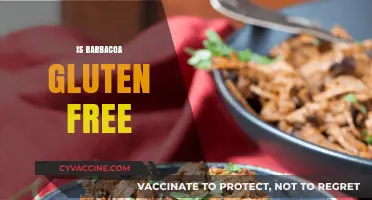Is Barbacoa Gluten Free? A Complete Guide to Safe Eating