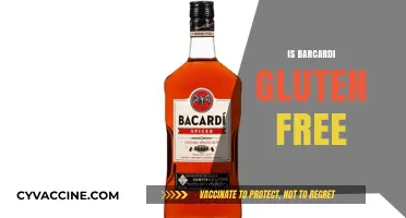 Is Bacardi Gluten-Free? Uncovering the Truth for Celiac Drinkers