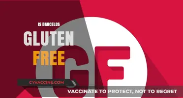 Is Barcelos Gluten-Free? Exploring Menu Options for Celiac Diners