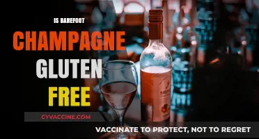 Sipping Safely: Is Barefoot Champagne Gluten-Free?